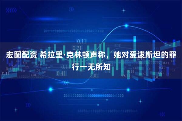 宏图配资 希拉里·克林顿声称，她对爱泼斯坦的罪行一无所知