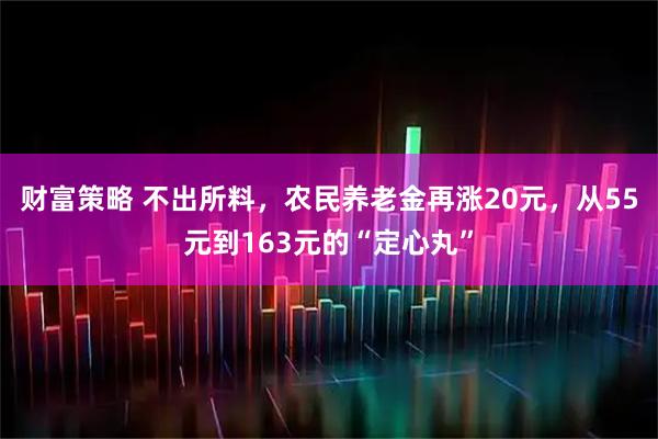 财富策略 不出所料，农民养老金再涨20元，从55元到163元的“定心丸”