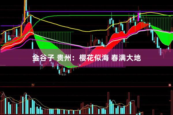 金谷子 贵州：樱花似海 春满大地