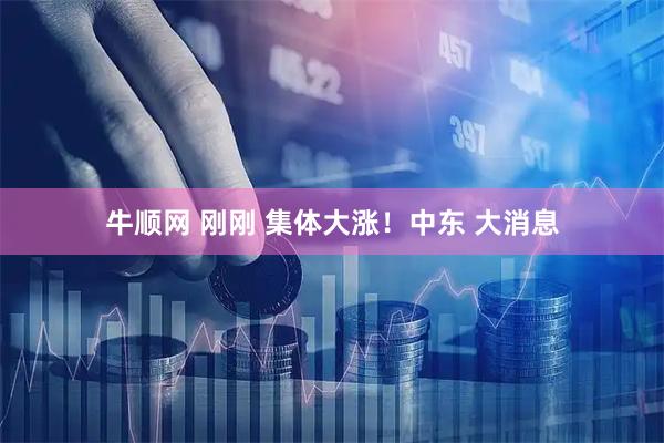 牛顺网 刚刚 集体大涨！中东 大消息
