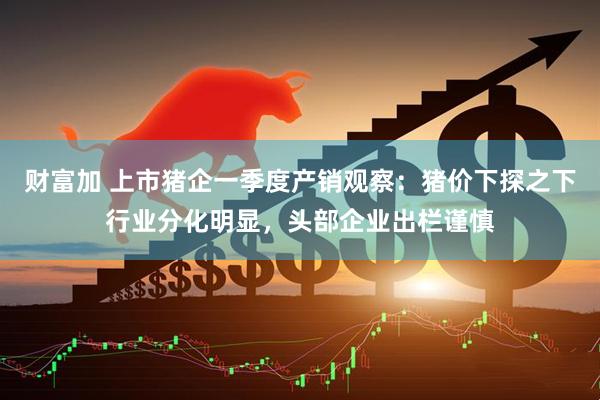 财富加 上市猪企一季度产销观察：猪价下探之下行业分化明显，头部企业出栏谨慎