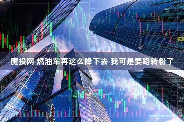 魔投网 燃油车再这么降下去 我可是要路转粉了