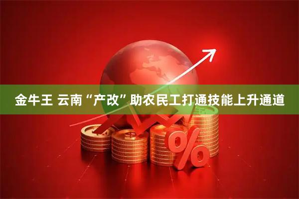 金牛王 云南“产改”助农民工打通技能上升通道
