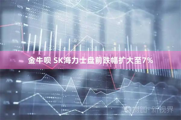 金牛呗 SK海力士盘前跌幅扩大至7%