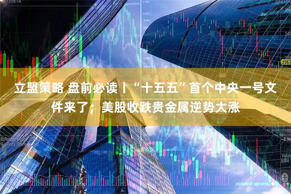 立盟策略 盘前必读丨“十五五”首个中央一号文件来了；美股收跌贵金属逆势大涨