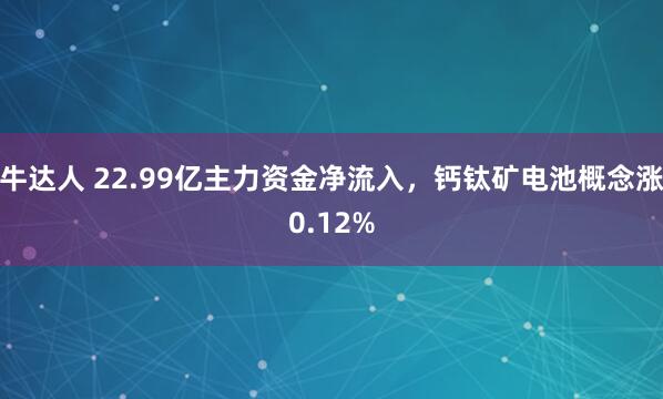 牛达人 22.99亿主力资金净流入，钙钛矿电池概念涨0.12%
