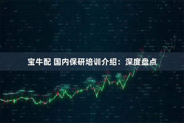 宝牛配 国内保研培训介绍:深度盘点