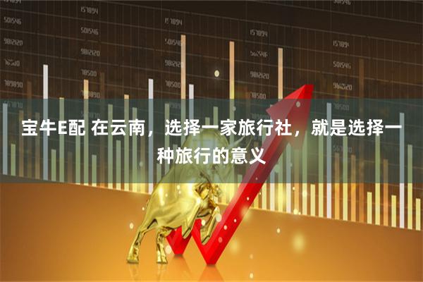 宝牛E配 在云南，选择一家旅行社，就是选择一种旅行的意义