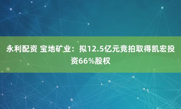 永利配资 宝地矿业：拟12.5亿元竞拍取得凯宏投资66%股权