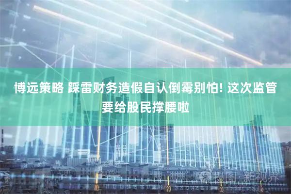 博远策略 踩雷财务造假自认倒霉别怕! 这次监管要给股民撑腰啦