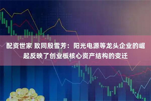 配资世家 致同殷雪芳：阳光电源等龙头企业的崛起反映了创业板核心资产结构的变迁