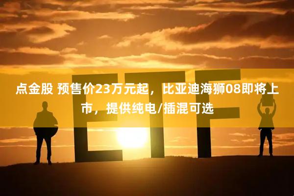 点金股 预售价23万元起,比亚迪海狮08即将上市,提供纯电/插混可选